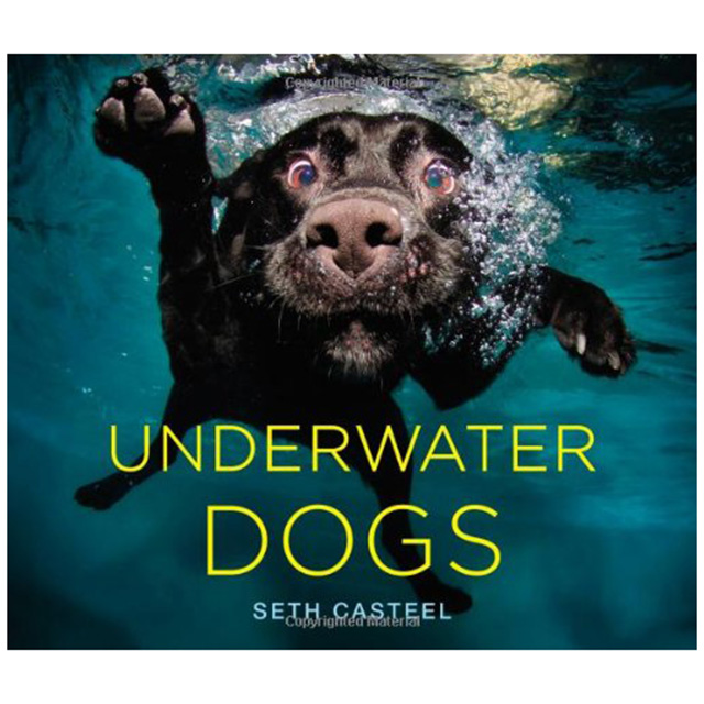 Underwater Dogs Photo Book