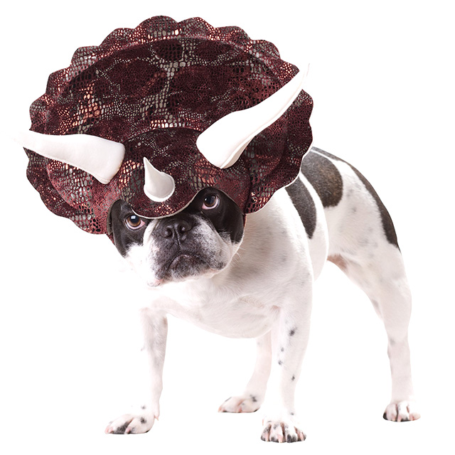 Triceratops Dog Hat