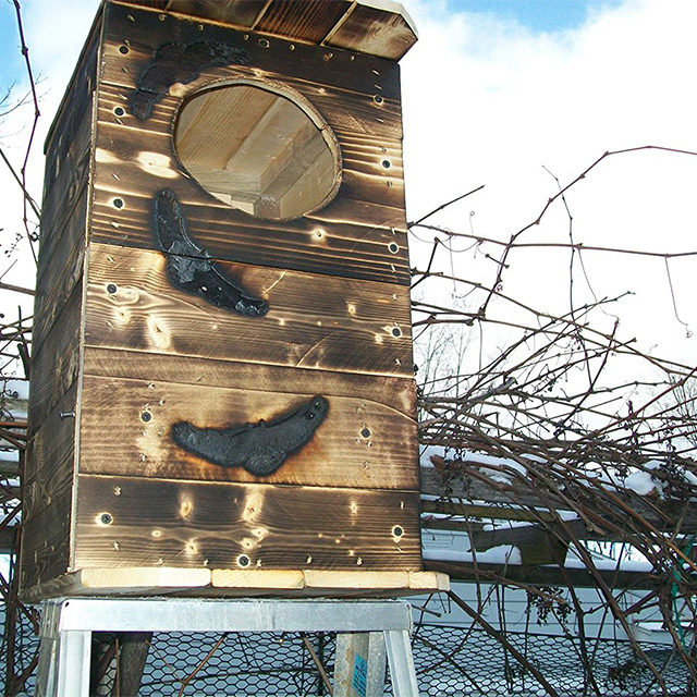Birdhouse for Barn Owls