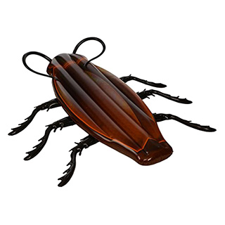 Cockroach Pool Float