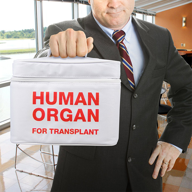 Human Organ Lunch Cooler