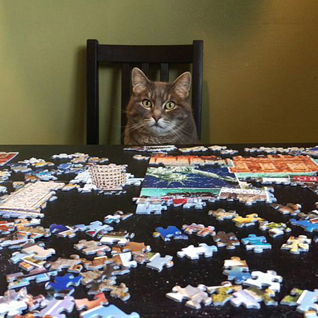 Puzzled to Death