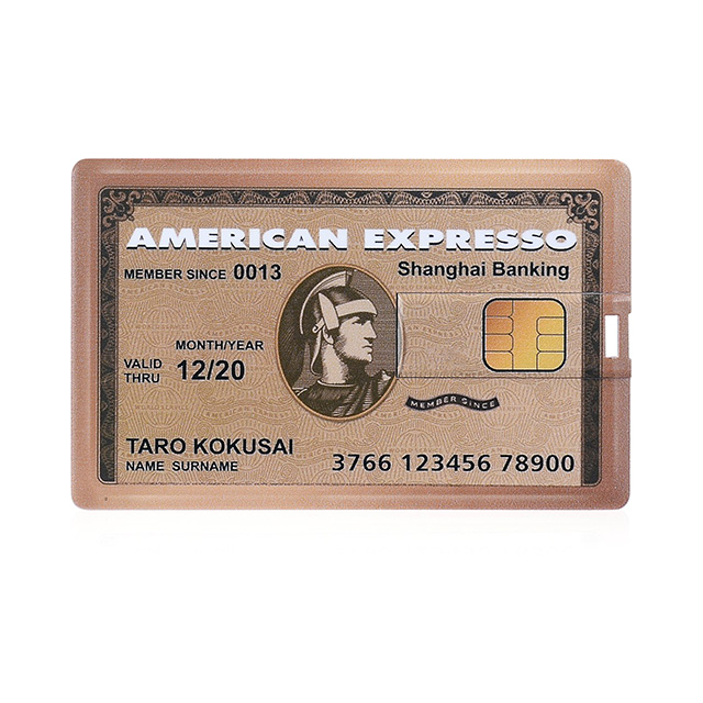 Fake Credit Card Flash Drive