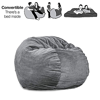 2-in-1 Beanbag Chair and Bed