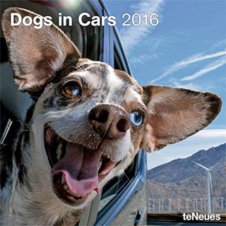 2016 Calendar of Dogs in Cars