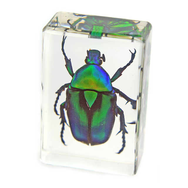 Giant Beetle Paperweight