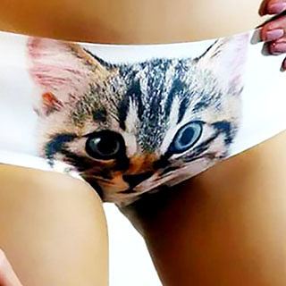 Kitty Cat Panties