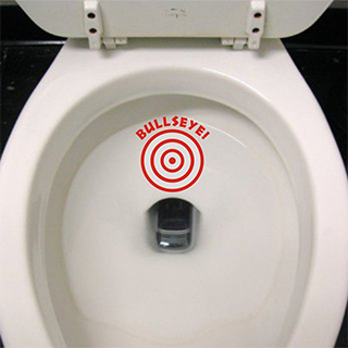 Toilet Target Sticker