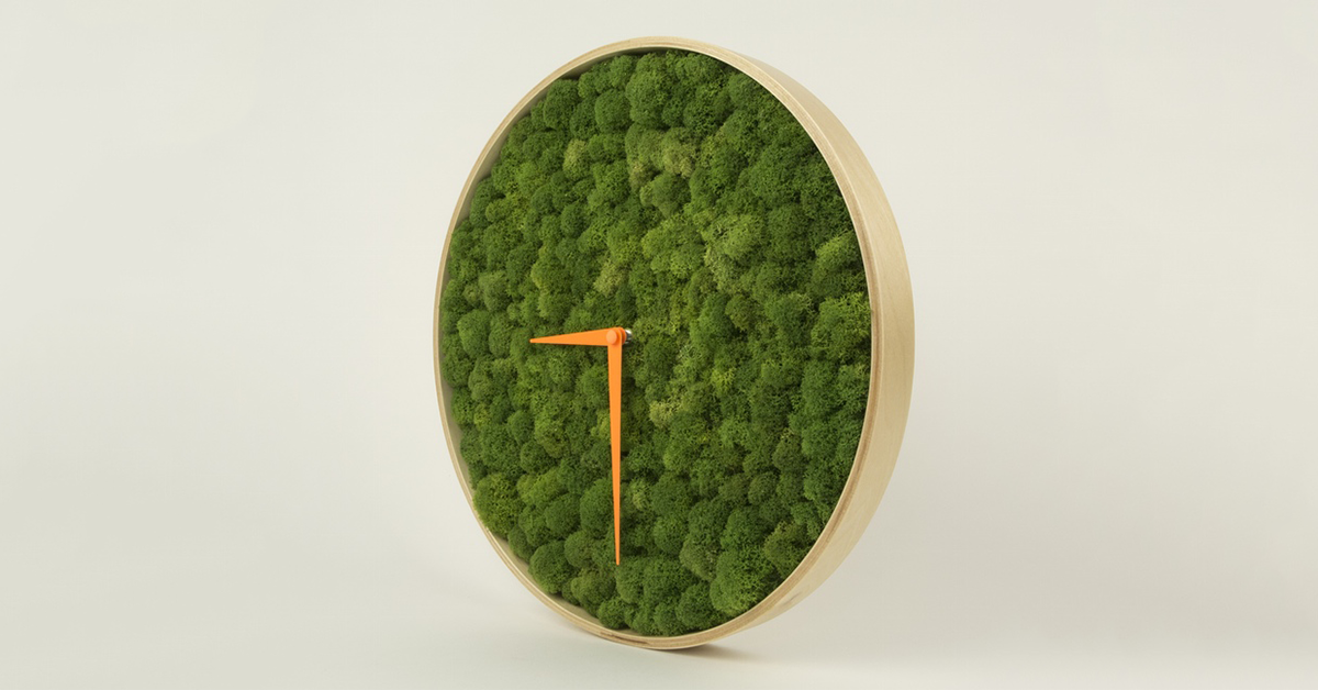 часы с мхом настенные. часы со стабилизированным мхом. часы настенные из мха. часы со мхом. часы со мхом.