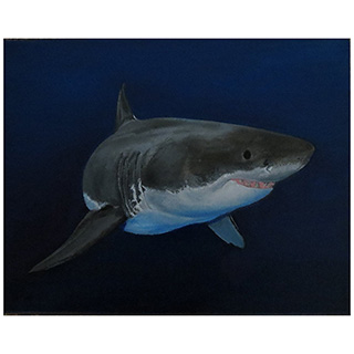 Great White Shark Oil Painting
