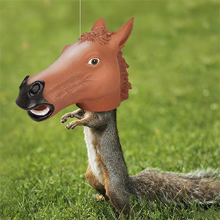 Horse Head Squirrel Feeder