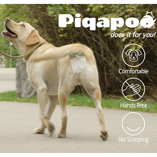Hands-Free Dog Poop Collection