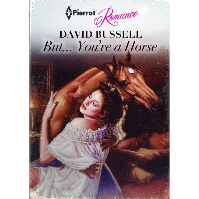 Horse Romance Novel