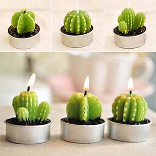Cactus Candles
