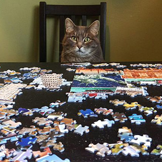 Puzzled to Death